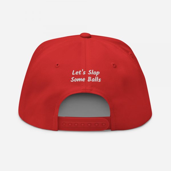 The LSSB Flat Bill Cap - Image 14