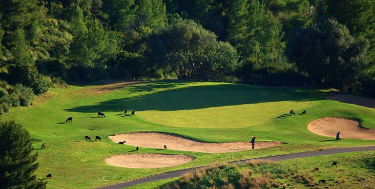 Golf Son Termes 03 768x387