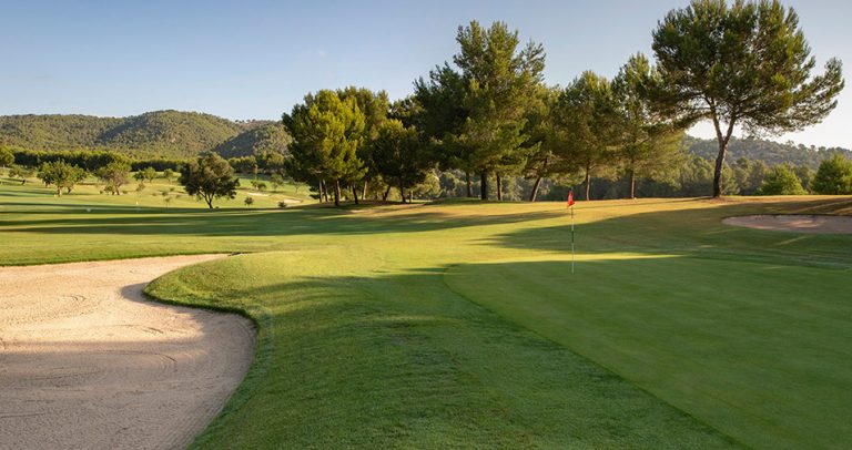 son quint golf 04 768x406